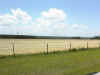 agricultural-land.jpg (26059 bytes)